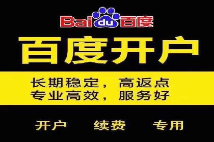 SEM代理的优化策略及成功案例